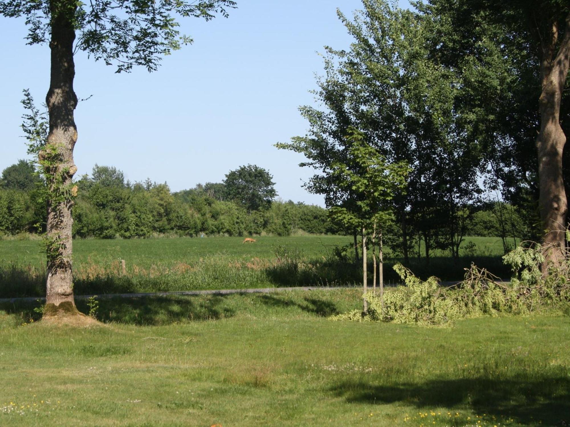 Detjens - Fewo In Ruhiger Lage Mit Terrasse Und Garten Ellingstedt Extérieur photo